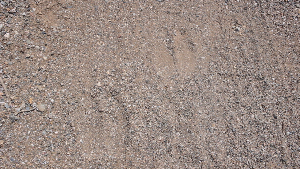 P1110193 (640x360) (640x360)