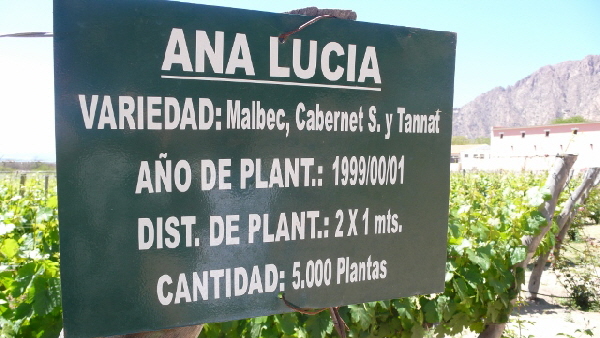 P1120002 (640x360)
