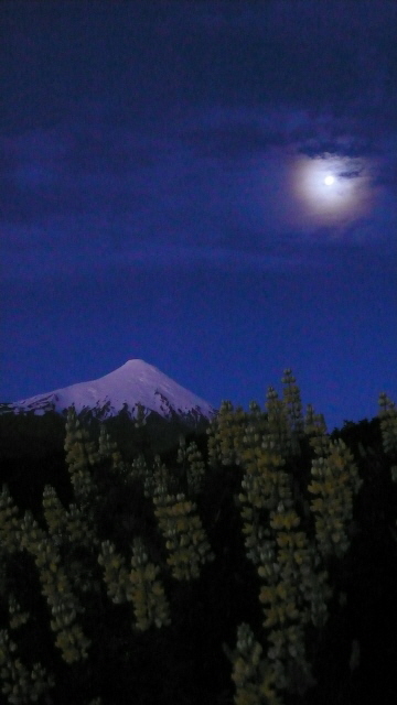 P1130438 (360x640)