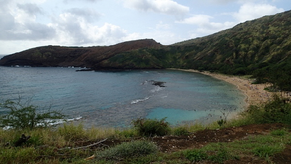 P1310410 (640x360)