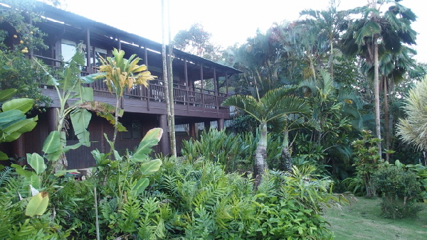 P2020458 (640x360)