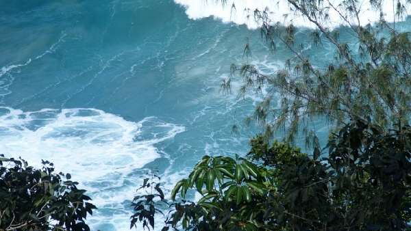 P2020481 (640x360)