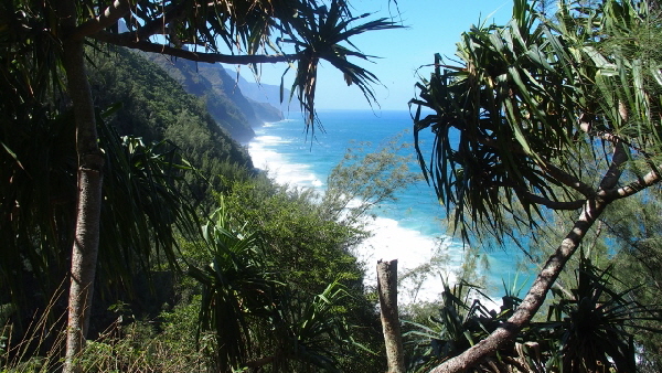 P2020488 (640x360)