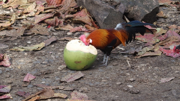 P2020515 (640x360)