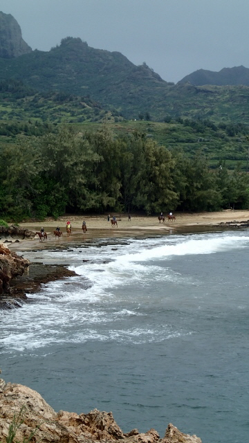 P2130588 (360x640)