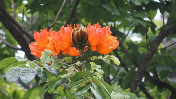 P2161093 (640x360)