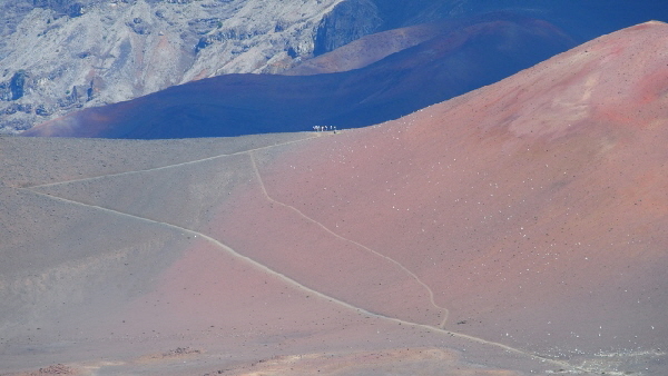 P2191282 (640x360)