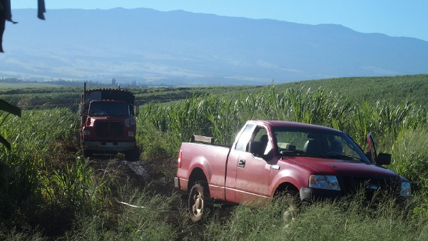 P2201335 (640x360)