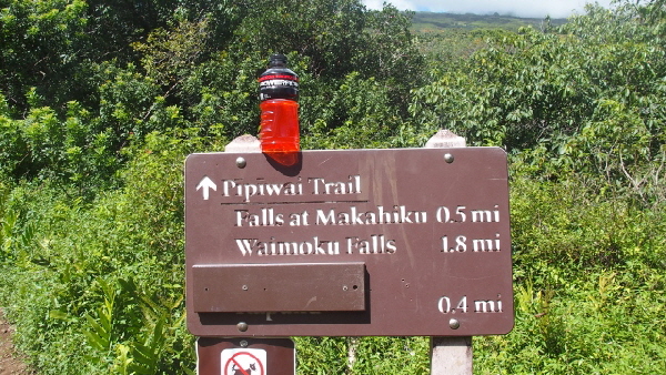 P2201363 (640x360)