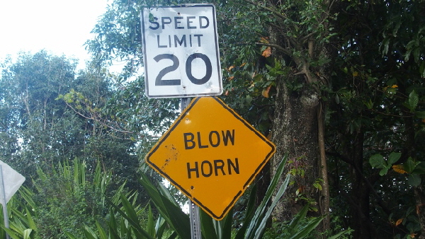 P2201427 (640x360) (640x360)