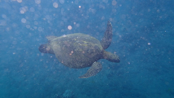 P2270779 (640x360)