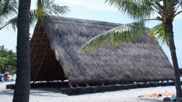 P3160984 (640x360)