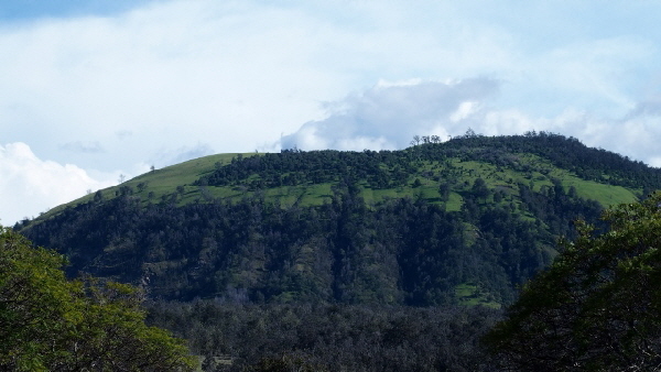 P3171112 (640x360)