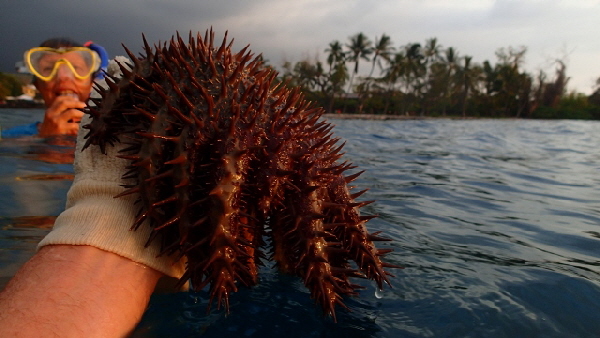 P3171266 (640x360)