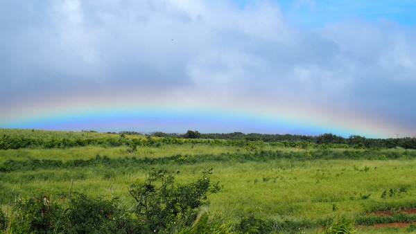 P3221402 (640x360)