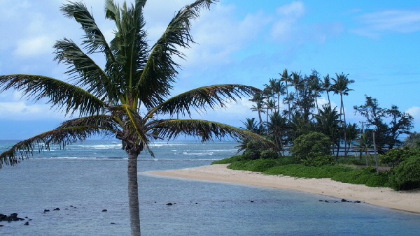 P3231428 (640x360)