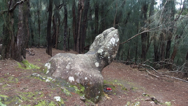 P3281675 (640x360)