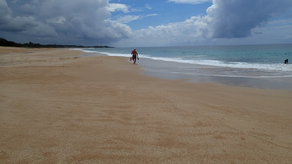 P3291722 (640x360)