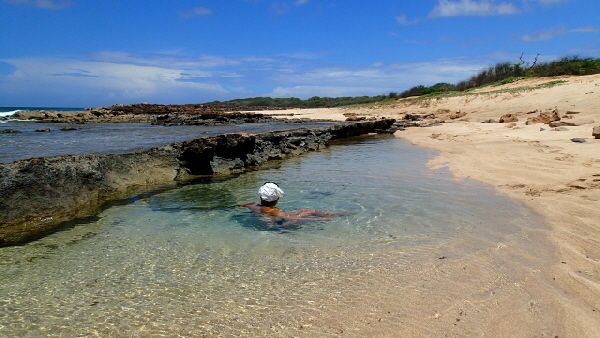P3301786 (640x360)