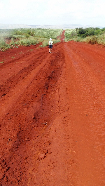 P3311784 (360x640)