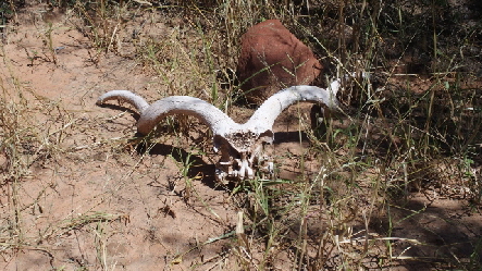 P4030488 (640x360)