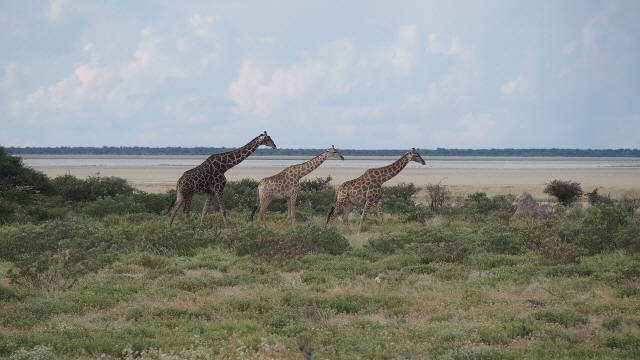 P4070656 (640x360)