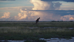 P4070690 (640x360)
