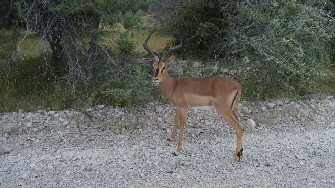 P4080708 (640x360)