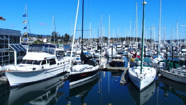 P4120375 (640x360) (640x360) (640x360) (640x360)