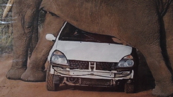 P4131040 (640x360)