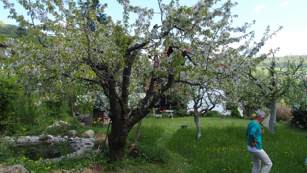 P4140447 (640x360) (640x360)