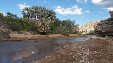P4151158 (640x360)