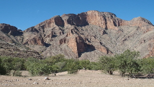 P4161195 (640x360)
