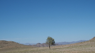 P4161216 (640x360)