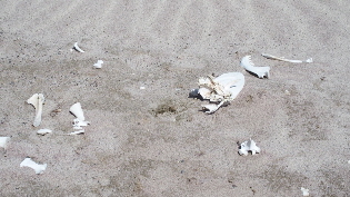 P4191460 (640x360)