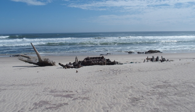 P4191462 (640x360)