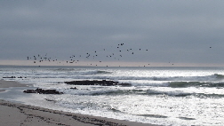 P4191488 (640x360)