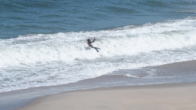P4201529 (640x360)