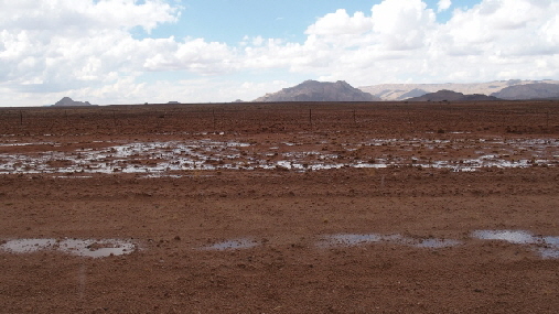 P4211605 (640x360)