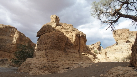 P4221682 (640x360)