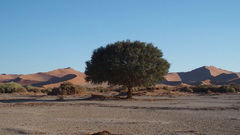 P4231735 (640x360)