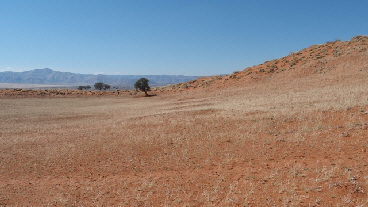 P4241805 (640x360)