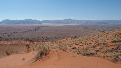 P4241817 (640x360)