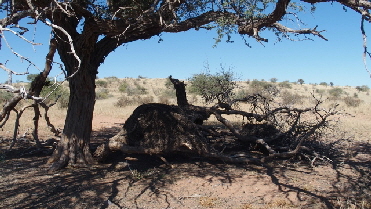 P4271990 (640x360)
