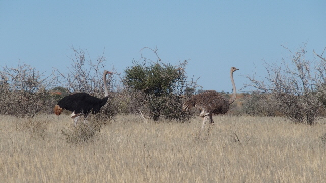P4282017 (640x360)