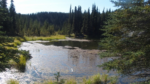 P9020167 (640x360)