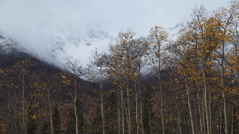 P9160587 (640x360)