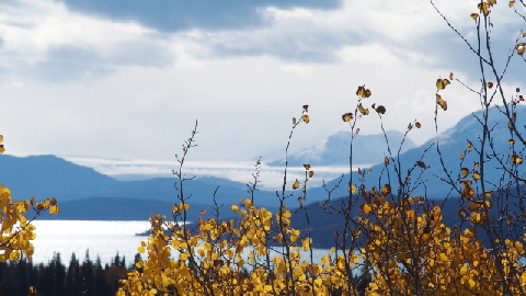 P9190776 (640x360)