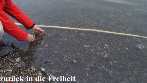 P9200851 (640x360)