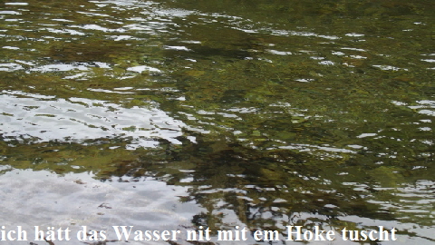 P9240977 (640x360)